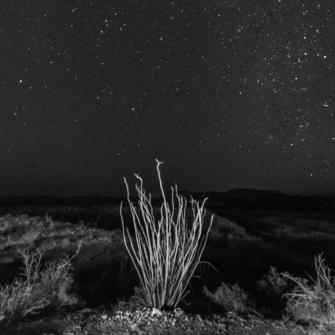 stars - Copy
