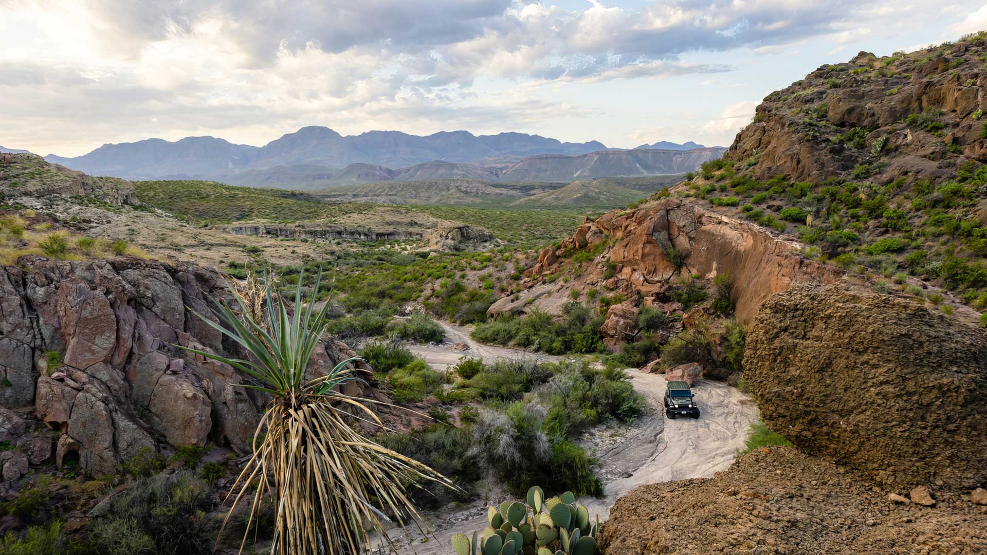 Jeep exploring a remote Big Bend road